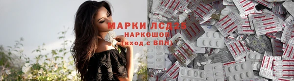 соль ск Алзамай
