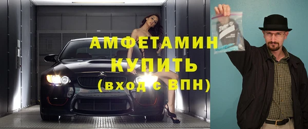 мет Алексин