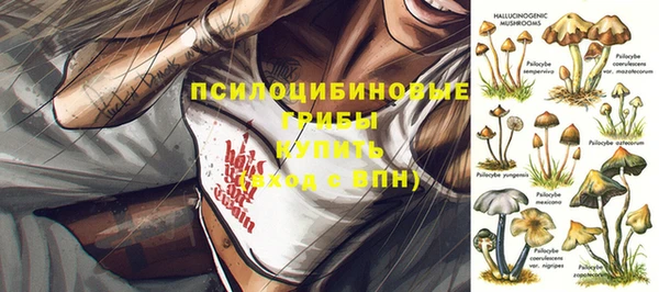 соль ск Алзамай