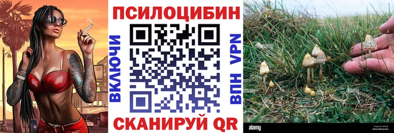 закладка Любань МЕГА Псилоцибиновые грибы Magic Shrooms